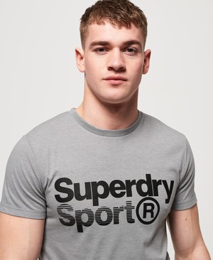 Superdry Core Sport Graphic Férfi Pólók Világos Szürke | MUJGA9304